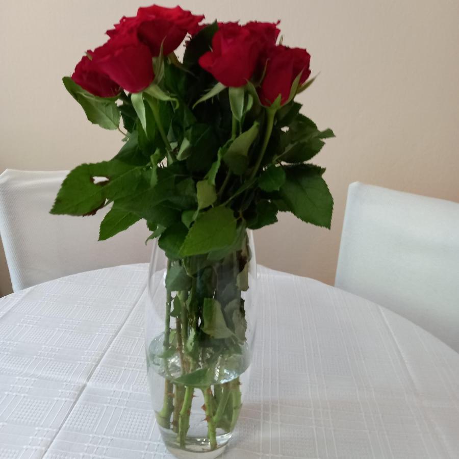 Rivijera Apartment Белград Екстериор снимка